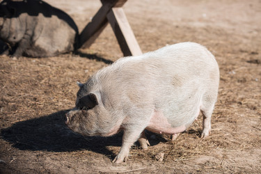 Similar image 21272028