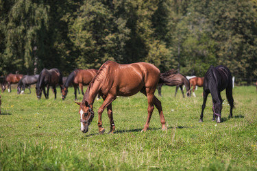 Similar image 21272029