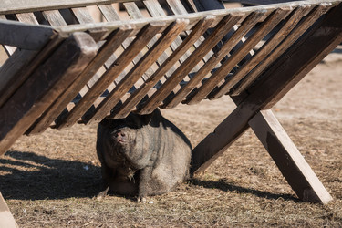 Similar image 21272030