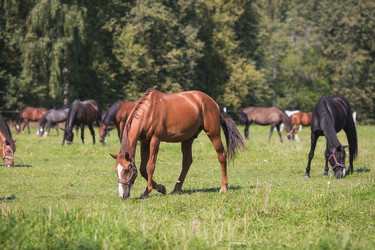 Similar image 21272031