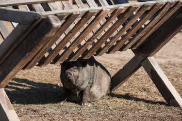 Similar image 21272032