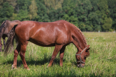 Similar image 21272033