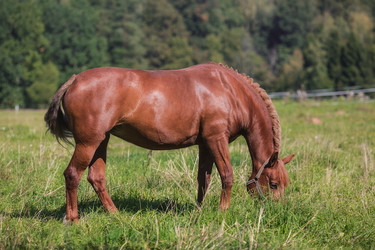 Similar image 21272035