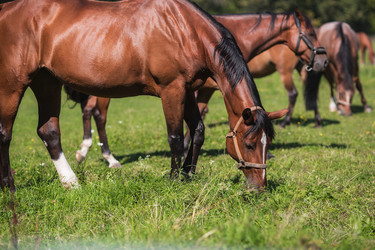 Similar image 21272037