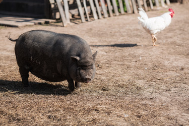 Similar image 21272038