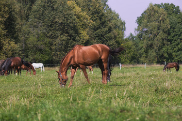 Similar image 21272039