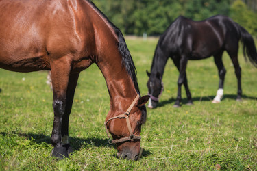 Similar image 21272040