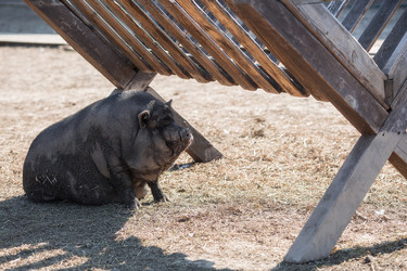 Similar image 21272041