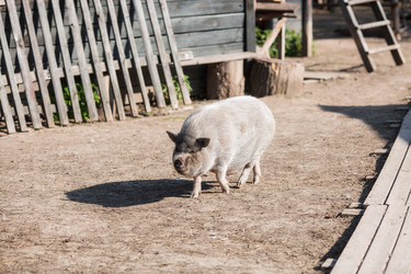 Similar image 21272042