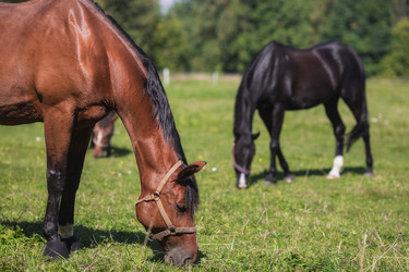 Similar image 21272043