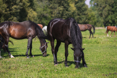 Similar image 21272044