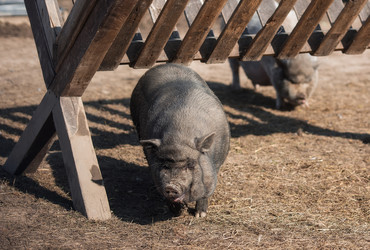 Similar image 21272045