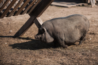 Similar image 21272046