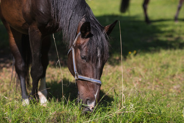 Similar image 21272047