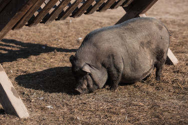 Similar image 21272048