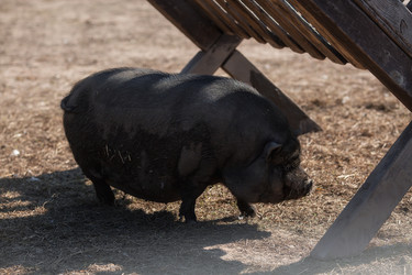 Similar image 21272427