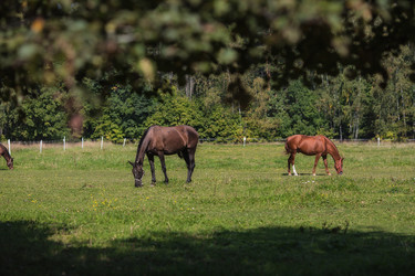 Similar image 21272429