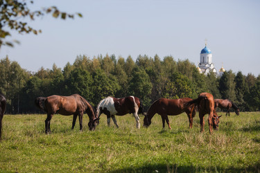 Similar image 21272430