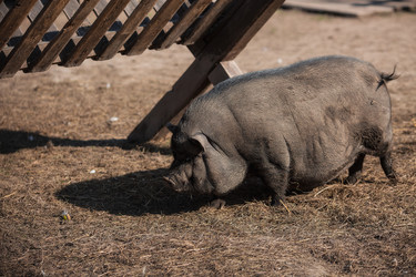 Similar image 21272432