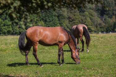 Similar image 21272433