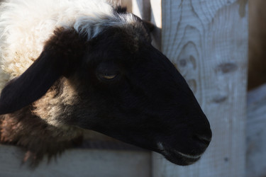 Similar image 21282662