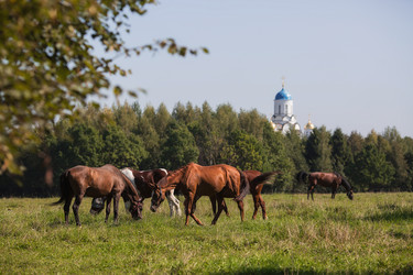 Similar image 21272434