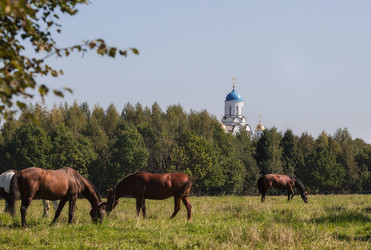 Similar image 21272435