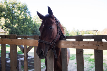 Similar image 21272436