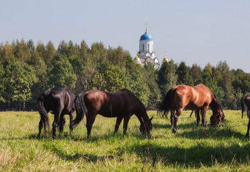 Similar image 21272437