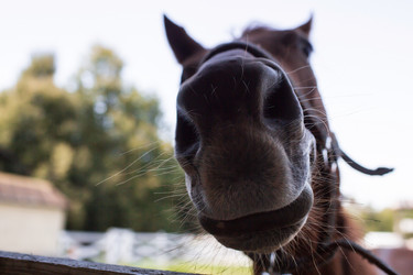 Similar image 21272439