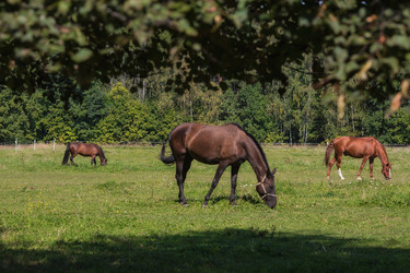 Similar image 21272440