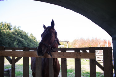 Similar image 21272441