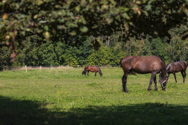 Similar image 21272442