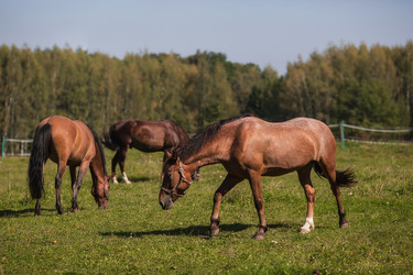 Similar image 21272443