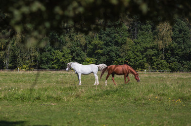 Similar image 21272444