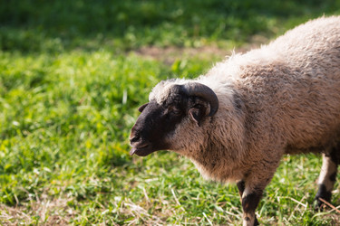 Similar image 21282663