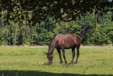 Similar image 21272445