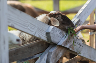 Similar image 21282664