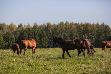 Similar image 21272446