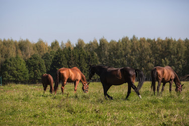 Similar image 21272447