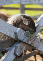 Similar image 21282665