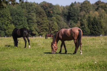 Similar image 21272448