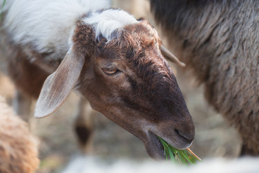 Similar image 21282666