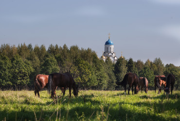 Similar image 21272449