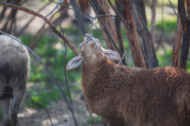 Similar image 21282716