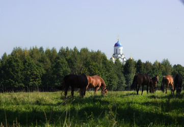 Similar image 21272450