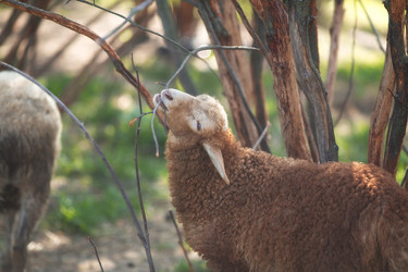 Similar image 21282717