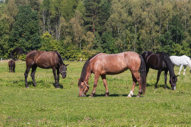 Similar image 21272452