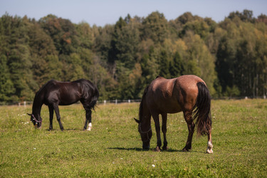 Similar image 21272453