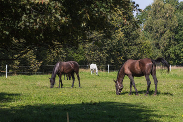 Similar image 21272454